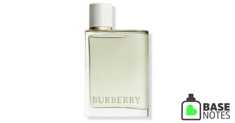 burberry basenotes|Burberry eau de toilette.